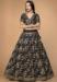 Picture of Fascinating Silk Black Lehenga Choli