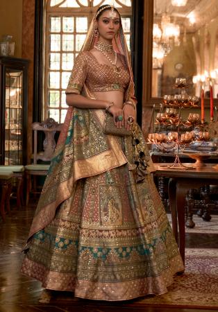 Picture of Excellent Silk Sienna Lehenga Choli