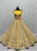 Picture of Ideal Net Golden Lehenga Choli