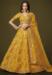 Picture of Good Looking Silk Golden Rod Lehenga Choli