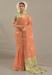 Picture of Graceful Silk Tan Saree