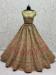 Picture of Admirable Net Dark Olive Green Lehenga Choli