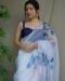 Picture of Pleasing Organza Ghost White Saree