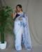 Picture of Pleasing Organza Ghost White Saree