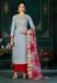 Picture of Cotton Light Steel Blue Straight Cut Salwar Kameez