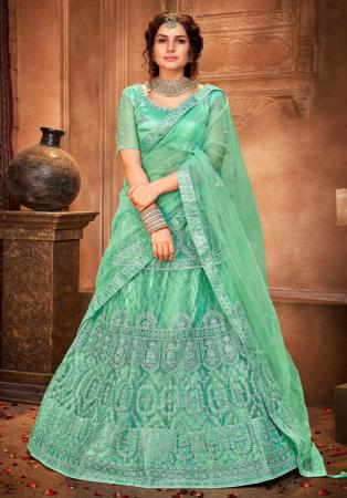 Picture of Pleasing Net Powder Blue Lehenga Choli