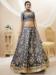 Picture of Comely Silk Light Slate Grey Lehenga Choli