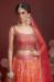 Picture of Resplendent Chiffon & Silk Peru Lehenga Choli