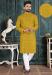 Picture of Lovely Cotton Golden Rod Kurtas