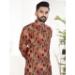 Picture of Admirable Cotton Sienna Kurtas