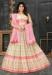 Picture of Amazing Silk Cornsilk Lehenga Choli