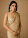 Picture of Good Looking Net Tan Saree