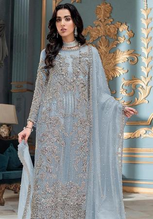 Picture of Silk & Organza Light Grey Straight Cut Salwar Kameez