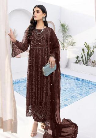 Picture of Silk & Organza Brown Straight Cut Salwar Kameez