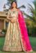 Picture of Splendid Satin Pale Golden Rod Lehenga Choli