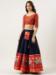 Picture of Lovely Silk Navy Blue Lehenga Choli