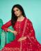 Picture of Stunning Organza Crimson Straight Cut Salwar Kameez