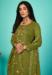 Picture of Organza Olive Drab Straight Cut Salwar Kameez