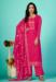 Picture of Beautiful Organza Hot Pink Straight Cut Salwar Kameez