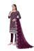 Picture of Organza Saddle Brown Straight Cut Salwar Kameez