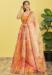 Picture of Beautiful Organza Peru Lehenga Choli