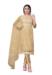 Picture of Organza Burly Wood Straight Cut Salwar Kameez