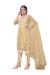 Picture of Organza Burly Wood Straight Cut Salwar Kameez