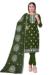 Picture of Organza Dark Olive Green Straight Cut Salwar Kameez