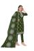 Picture of Organza Dark Olive Green Straight Cut Salwar Kameez