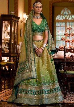 Picture of Pretty Silk Light Green Lehenga Choli