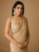 Picture of Good Looking Net Tan Saree