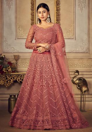 Picture of Fine Net Sienna Lehenga Choli