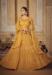 Picture of Splendid Net Sandy Brown Lehenga Choli