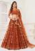 Picture of Superb Crepe Brown Lehenga Choli