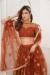 Picture of Superb Crepe Brown Lehenga Choli