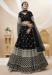 Picture of Taking Georgette Black Lehenga Choli