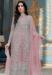 Picture of Organza Rosy Brown Straight Cut Salwar Kameez