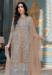 Picture of Organza Rosy Brown Straight Cut Salwar Kameez