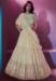 Picture of Shapely Silk Beige Lehenga Choli