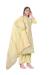 Picture of Comely Cotton Wheat Straight Cut Salwar Kameez