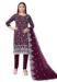 Picture of Organza Saddle Brown Straight Cut Salwar Kameez