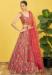 Picture of Charming Organza Indian Red Lehenga Choli