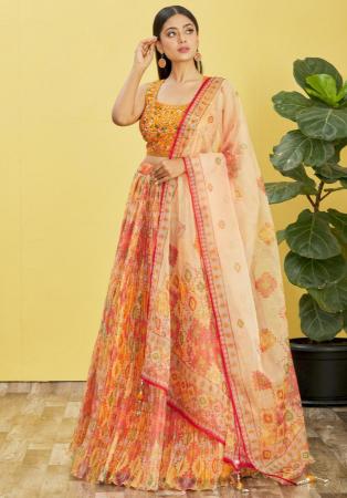 Picture of Beautiful Organza Peru Lehenga Choli