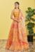 Picture of Beautiful Organza Peru Lehenga Choli