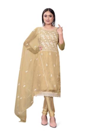 Picture of Organza Burly Wood Straight Cut Salwar Kameez