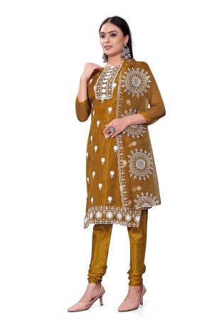 Picture of Statuesque Organza Sienna Straight Cut Salwar Kameez