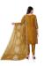 Picture of Statuesque Organza Sienna Straight Cut Salwar Kameez