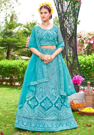 Picture of Well Formed Net Cadet Blue Lehenga Choli