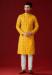 Picture of Appealing Cotton Golden Rod Kurtas