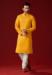 Picture of Lovely Cotton Golden Rod Kurtas